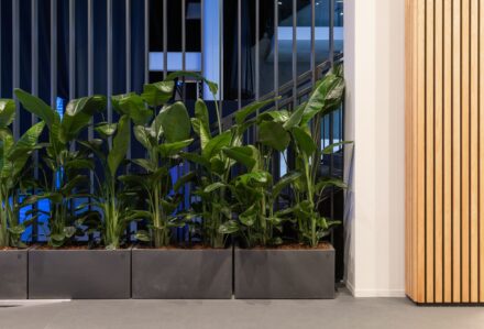 noleggio vasi parallelepipedi antracite nitto atp finals Torino